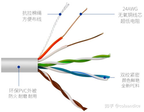 網線選購完全指南 從基礎知識到品牌推薦