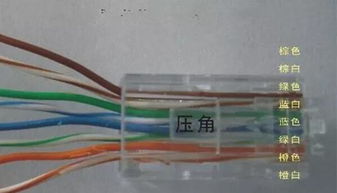 網(wǎng)絡(luò)故障排查與海外網(wǎng)絡(luò)優(yōu)化指南 網(wǎng)線不通與加速器選擇